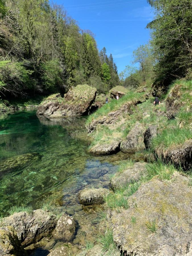 Ferienhaeuschen Am Traunsee Mit Tretboot Zur Freien Nutzung Am Badeplatz Altmünster Buitenkant foto