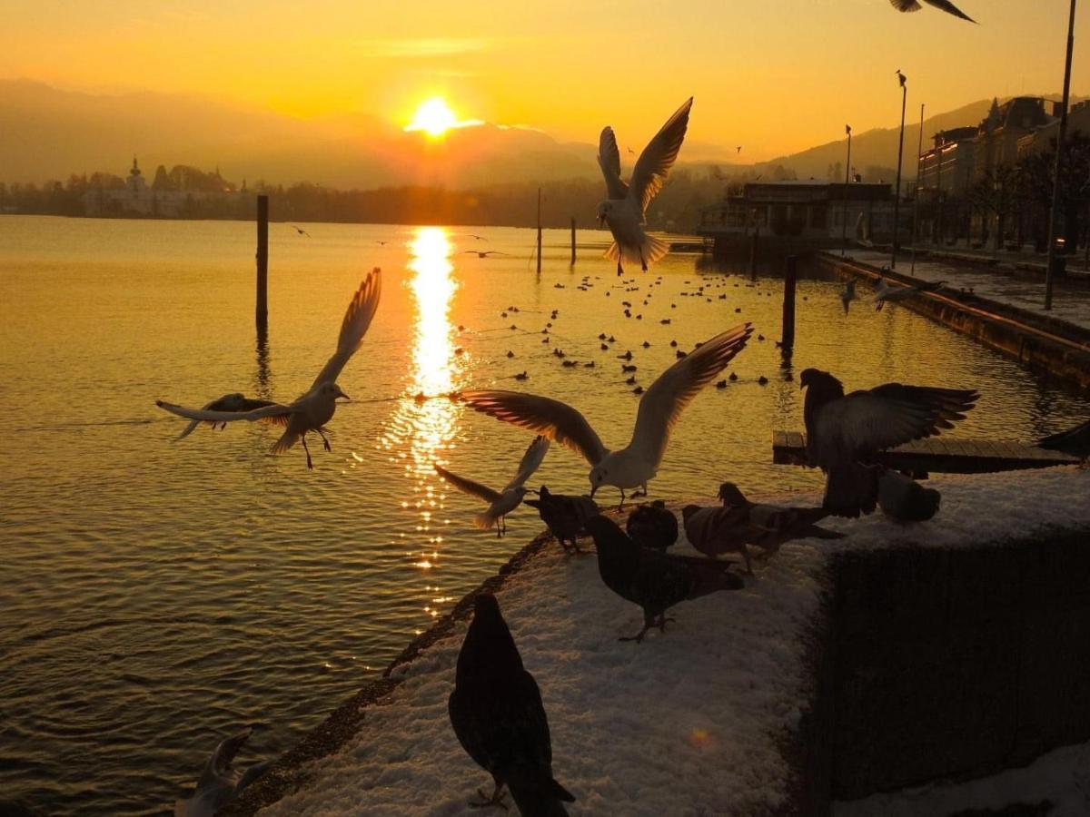 Ferienhaeuschen Am Traunsee Mit Tretboot Zur Freien Nutzung Am Badeplatz Altmünster Buitenkant foto