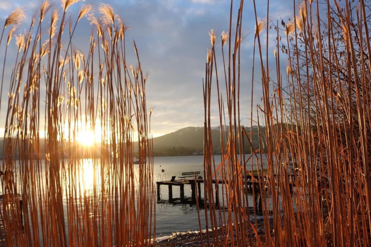 Ferienhaeuschen Am Traunsee Mit Tretboot Zur Freien Nutzung Am Badeplatz Altmünster Buitenkant foto